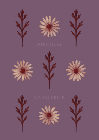 BOTANICAL - MARGUERITE / PURPLE