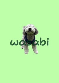 Love dog Wasabi