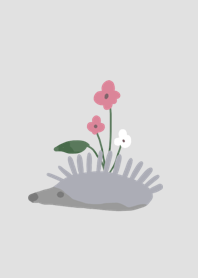 Hedgehog flower