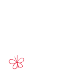 cute Butterfly