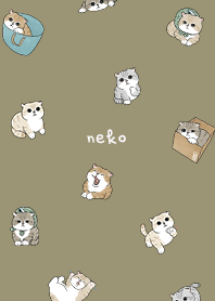 neko combo5 / olive