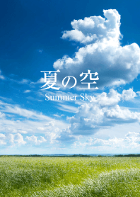 "Summer sky vol.9" theme