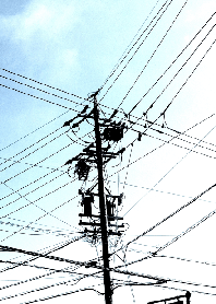 電柱(電信柱)