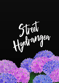 =Street hydrangea=