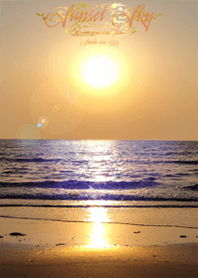 Sunset Sun Luck Dolphin