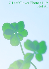 7-Leaf Clover Photo#1-19Not AI