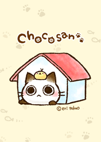 The cat's name is choco.-stay at home-