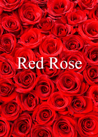 "Red Rose vol.5" theme