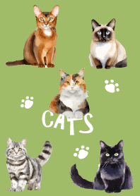unique cats on moss green