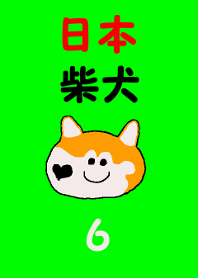 日本 柴犬 6