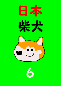 Shiba inu MOMO chan the third as well 6