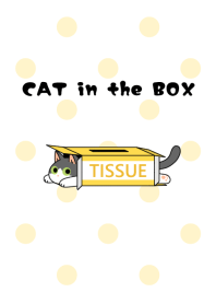 CAT in the BOX【ぶち猫】