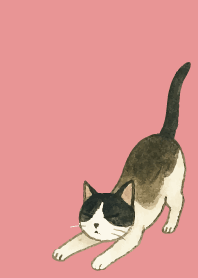 tuxedo cat03 on light pink