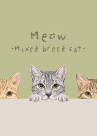 Meow - Mixed breed cat 03 - MATCHA GREEN