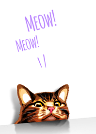 Just A Cat Theme