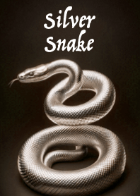 The Silver Snake of Good Fortune