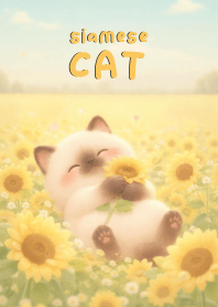 Cute siamese cat In Sun Flower