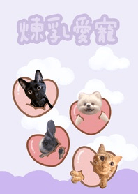 Condensed milk pet