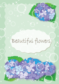 Beautiful flowers (hydrangea)