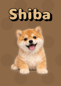 Shiba Inu Plush Theme Brown 03