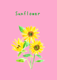 Sunflower Pink