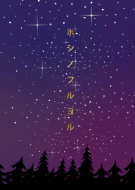 星の降る夜に＊5