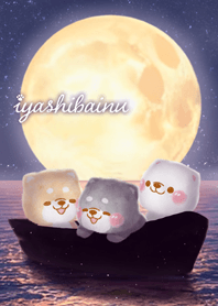 運気上昇❤️月夜のいやしばいぬ❤️修正版