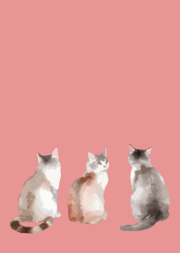 light pink まったりしたネコ4