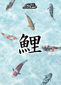 りえ用和風鯉