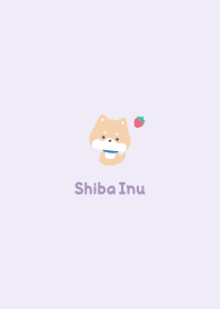 Shiba Inu3 Strawberry / Purple