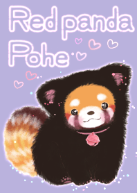 小熊猫 Pohe  貓裝