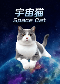 Space cat | A cat sitting on a planet