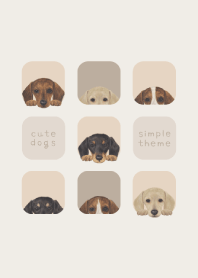 DOGS - dachshund - BEIGE GRAY