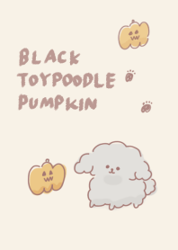 Simple black toy poodle pumpkin beige