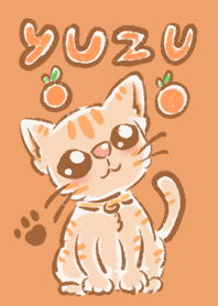 Yuzu is a cat