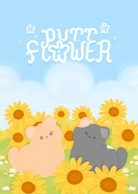 PurrFlower (Revised Version)