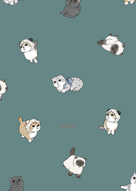 neko combo1 - cadet blue