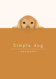simple dog/caramel brown