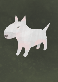 Bull terrier dogs