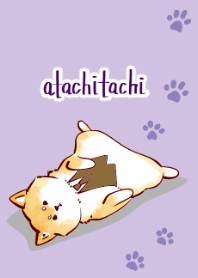 あたちたちのしばいぬ きせかえ２