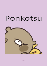 Purple : Bear Ponkotsu4