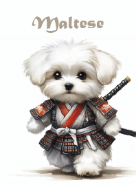 Maltese puppy Toby the little samurai-JP