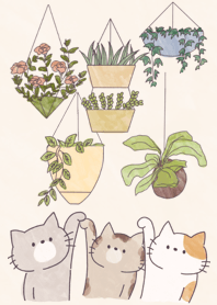cats and hanking plants