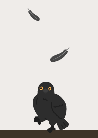 raising a bird__crow