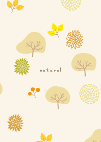 Autumn leaves and fruits26
