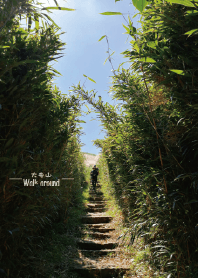 走走系列-大屯山