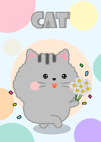 Color Cute Grey Cat  FuFu Theme (JP)