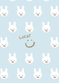 Rabbit much Blue5 from Japan