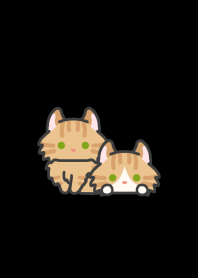 RT Curl Cat*darkmode*long-haired*