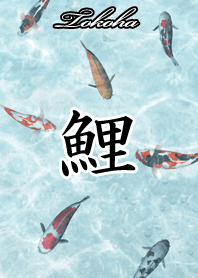 Tokoha Japanese style carp